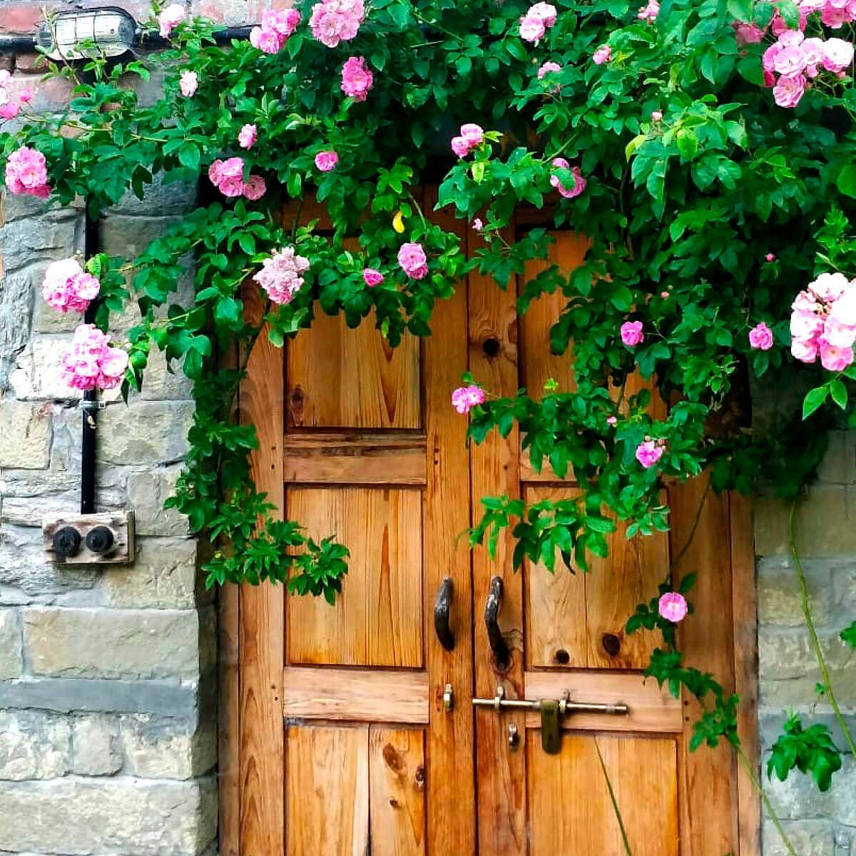 Wooden door with stone wall and blooming pink flowers at Karma Chalets.