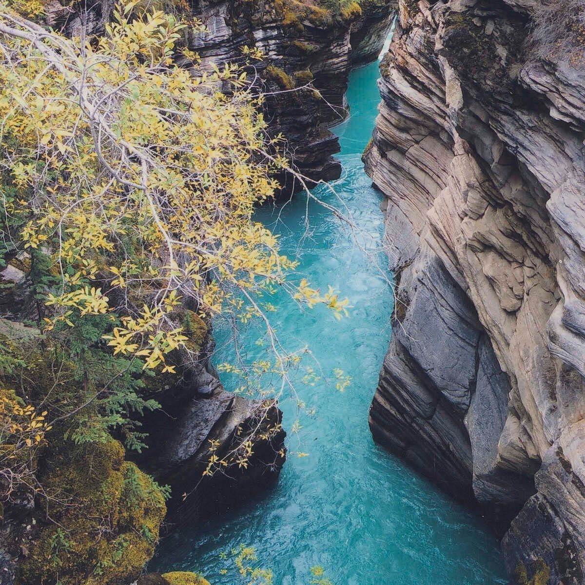 Aerial view of a turquoise river flowing between rocky cliffs, displayed in reading material at Karma Chalets.