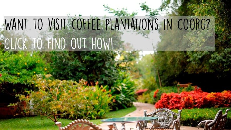 Inviting garden setting with a message about visiting coffee plantations in Coorg.