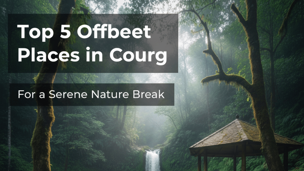 Misty forest scene with text overlay highlighting offbeat travel experiences.