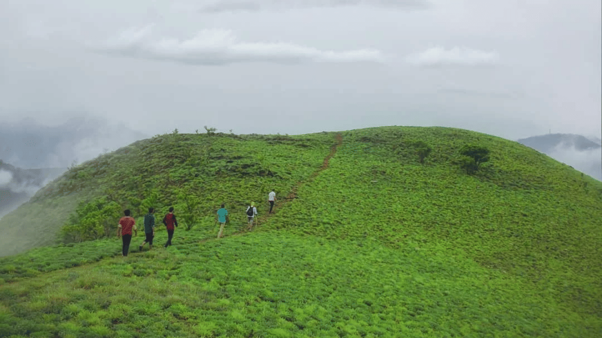 Group trekking across a misty green ridge in Coorg, showcasing gentle trails and expansive grassland scenery.