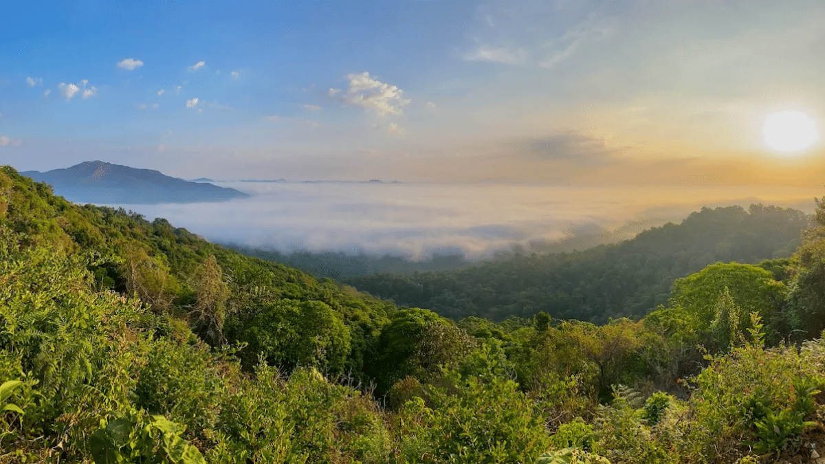 Sunrise view from a Coorg hilltop overlooking forested valleys and distant mountain ranges during an early morning trek.