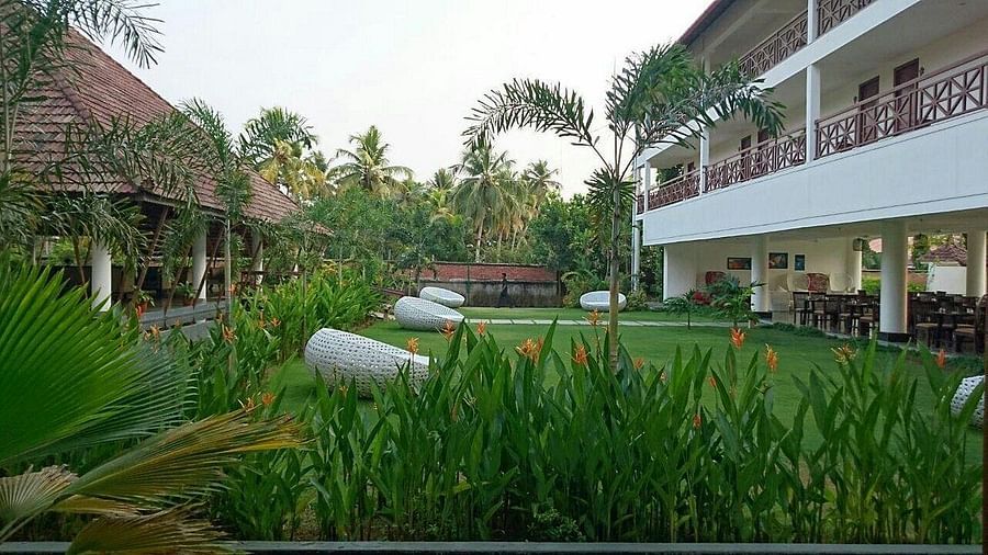 Lawn with green plants surrounding it - Rhythm Kumarakom
