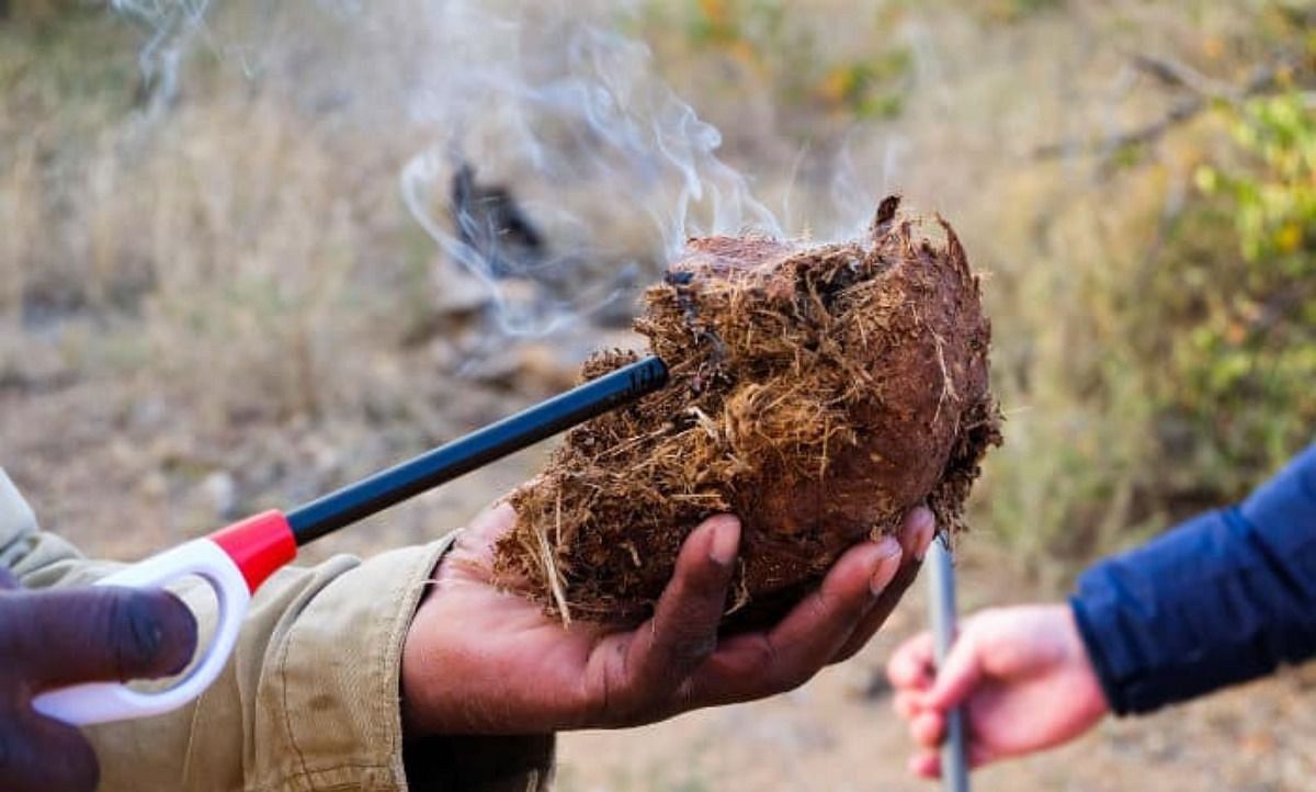 burning-elephant-dung INSECT REPELLENT
