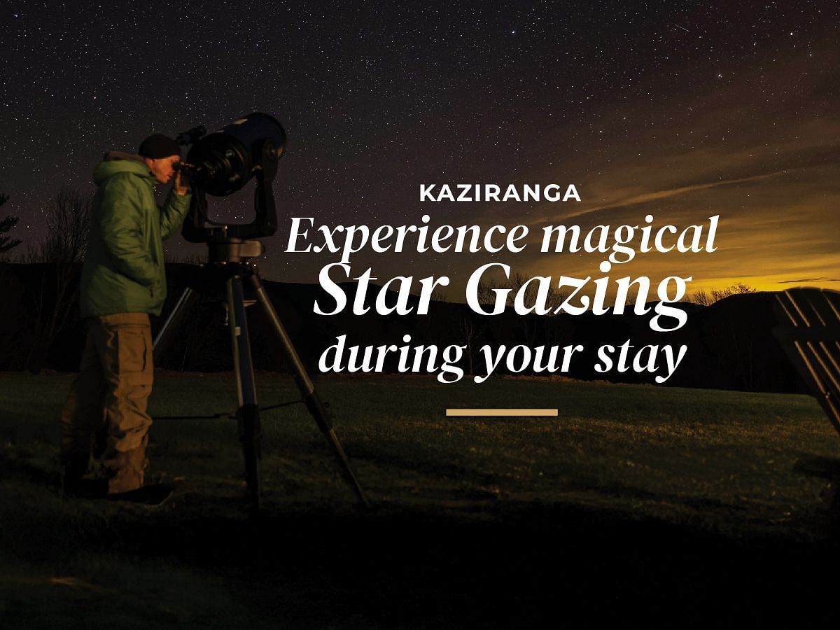 A banner image of star gazing nights offer at Summit Green Lake Tea Resort & Spa