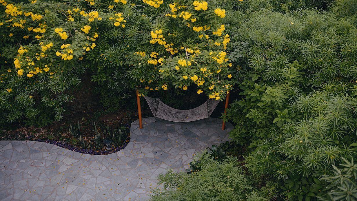 A hammock under yellow flowering trees surrounded by greenery at Karma Chalets.