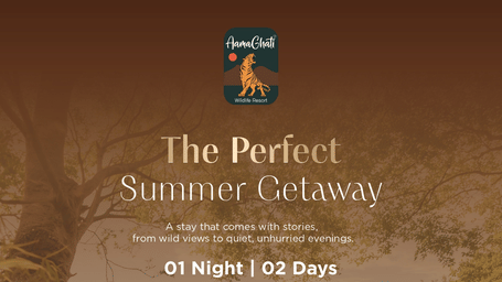 A flyer features a resort pool scene with guests dining under umbrellas, surrounded by trees. Text promotes a summer getaway deal starting at INR 18999 plus taxes.