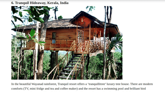 A media feature showcasing a wooden treehouse with an exterior staircase nestled in the rainforest canopy at Tranquil Resort, Wayanad.