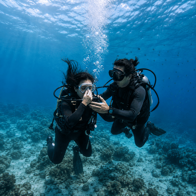 Two scuba divers swimming above a coral reef in clear blue underwater surroundings.