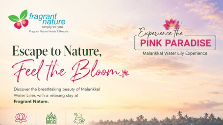Promotional banner for Fragrant Nature's 'Pink Paradise' package, showing a scenic view of a boat on a lake filled with blooming pink water lilies.