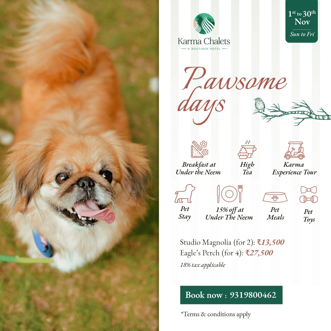 A creative of Pawsome Days at Karma Chalets, featuring pet stays, meals, toys, breakfast, high tea, and a Karma Experience Tour.