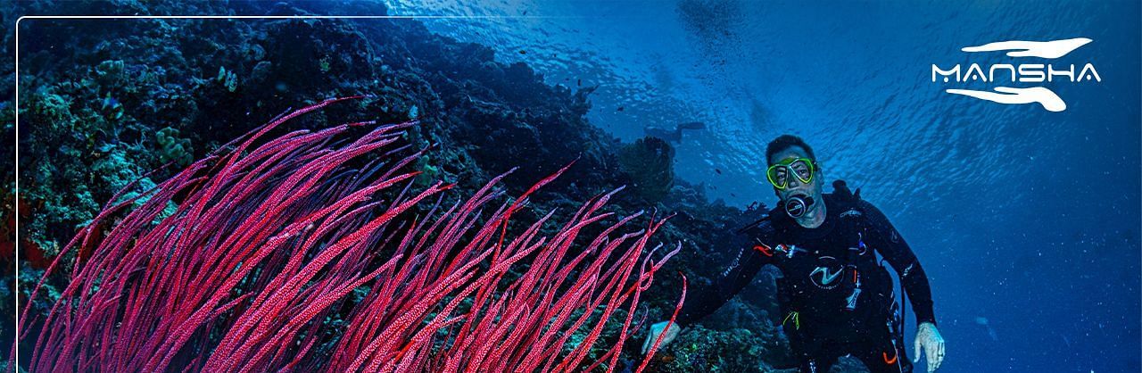 Scuba diver near coral reef with the text, Underwater World of the Andaman Islands.