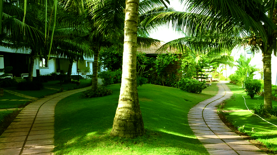 Casa Legend Hotel, Goa Goa villa rooms casa legend hotel bardez goa 10