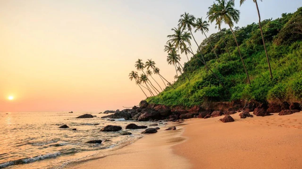 Beachside showcasing shores touching the sandy beach and at one side there are are also trees.