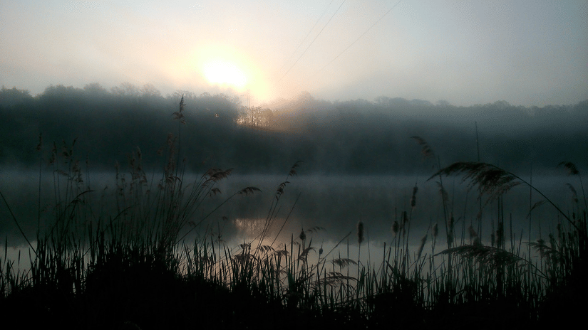 An overview of a lake with forest cover in the background during sunrise.