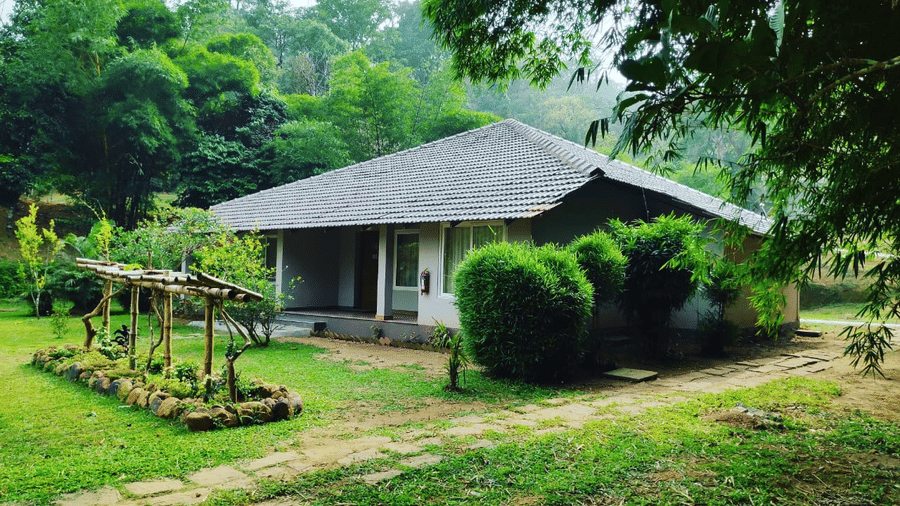 A cosy house with a thatched roof, set in a lush green landscape.- Abad Brookside Lakkidi, Wayanad