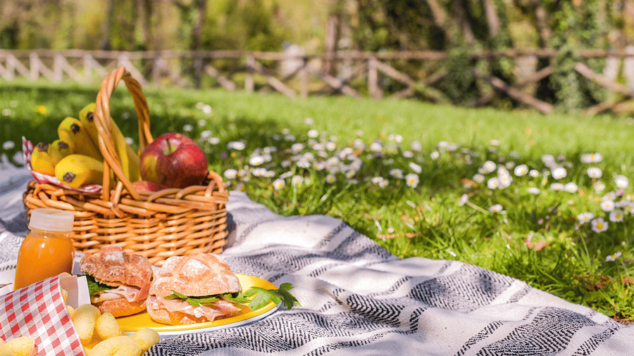 Picnic basket with bananas and apples, juice bottle and ham sandwiches on plate set on striped blanket in sunlit grassy meadow.