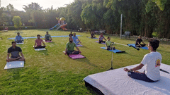People performing Yoga- The Golden tusk