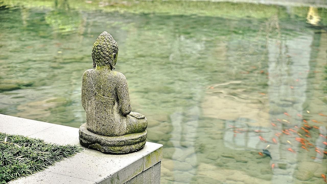 A statue of buddha by a waterbody