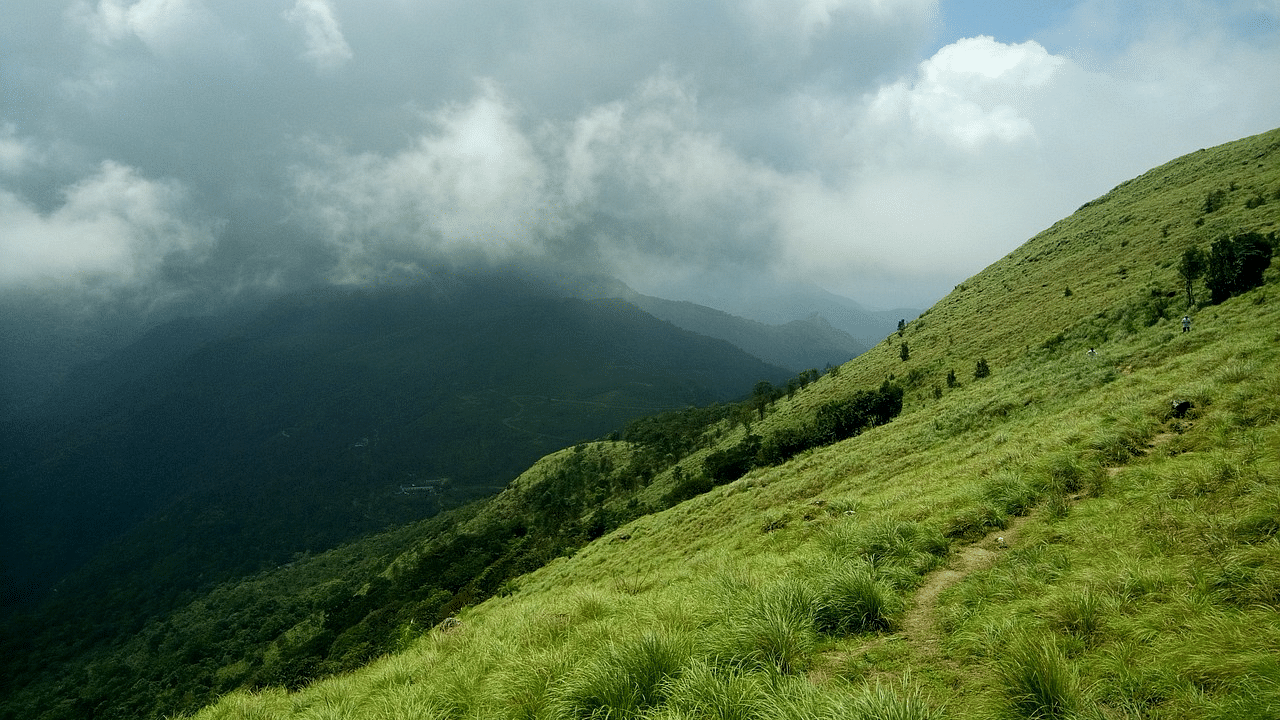 A lush green hillside in Wayanad, Kerala, with a narrow trekking path leading into mist-covered mountains under a cloudy sky.
