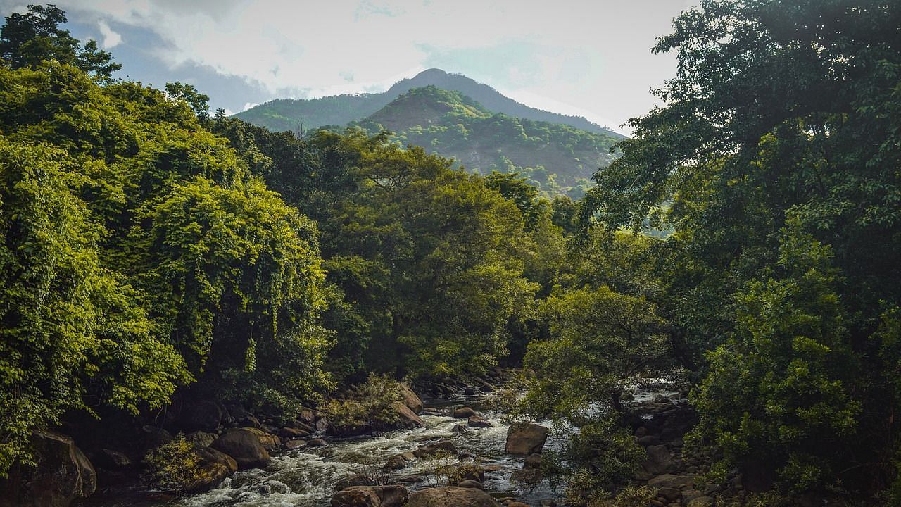 The serene Pookode Lake surrounded by dense forests in Wayanad, Kerala, reflecting the sky and greenery