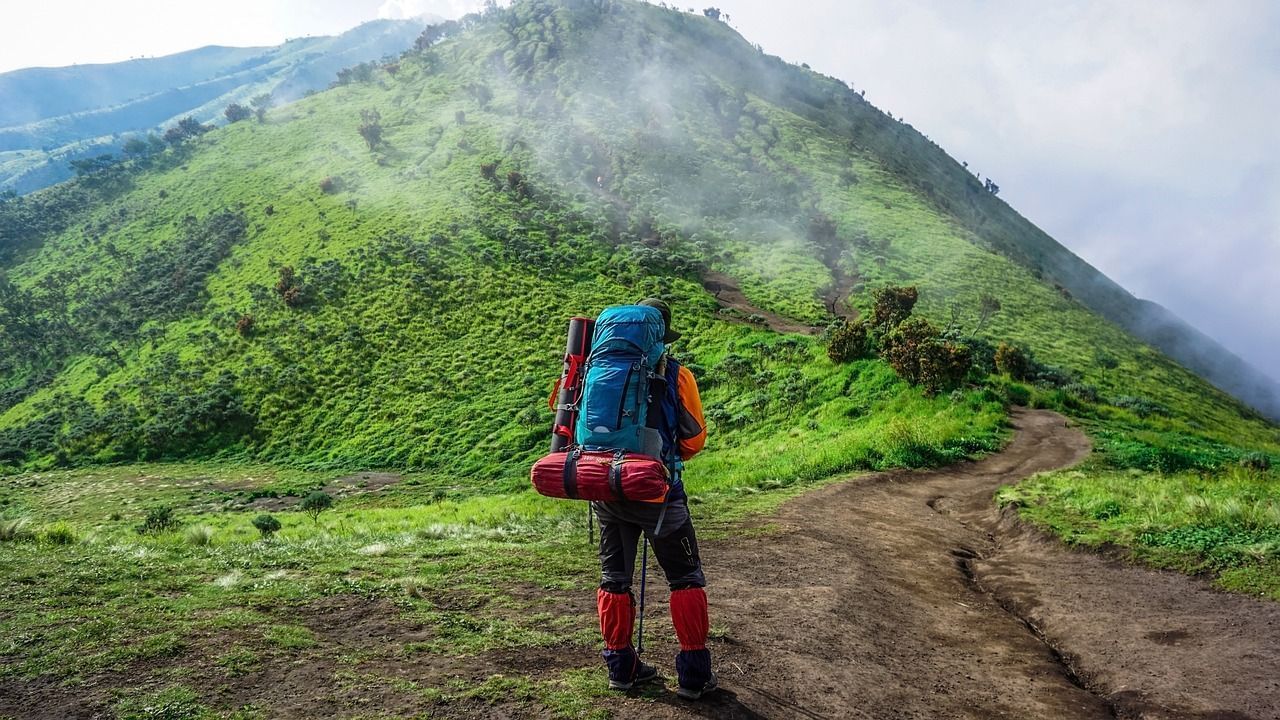 A man, with a travel bag, on a hill with greenery and fog
