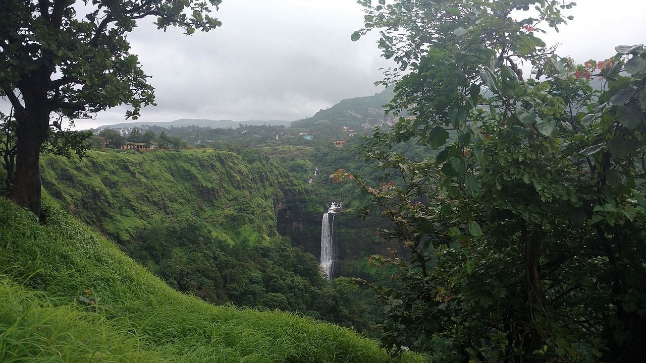 A green landscape in Pune covered by greenery inside a forest