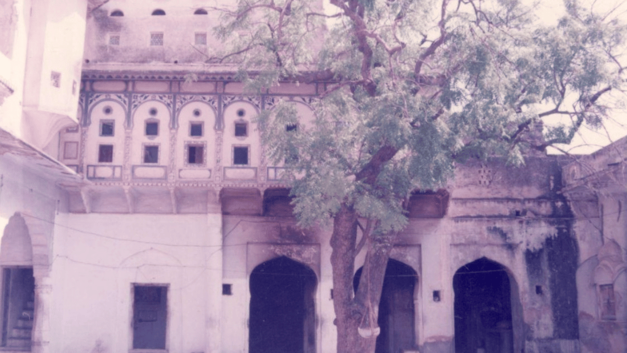 Vintage-style photo of a heritage palace courtyard with arched doorways, ornate upper windows, and a large leafy tree in the center, captured in soft faded tones.