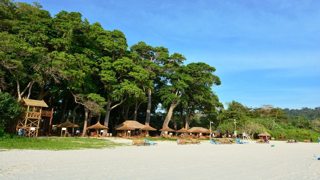 A wide angle shot of the Radhanagar beach featuring lush green tropical palm trees with a bright blue sky in the background.