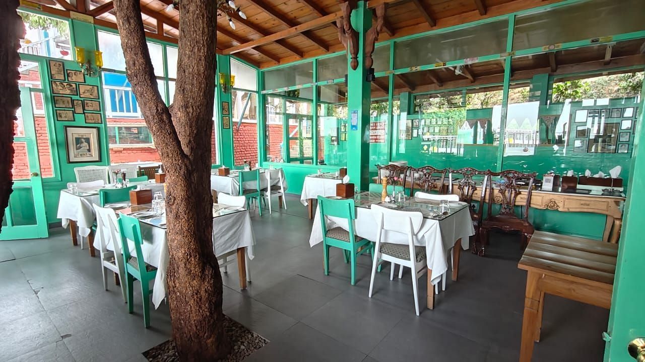 dinning area with a tree at the centre