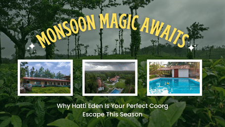 Monsoon view of Hatti Eden Coorg featuring cottages, pool, and lush greenery amidst misty landscapes.