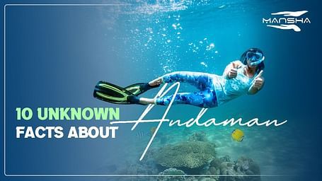 Scuba diver underwater with text , 10 Unknown Facts About Andaman.