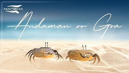 Two crabs on a sandy beach and it titled, Andaman vs Goa.