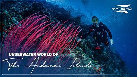 Scuba diver near coral reef with the text, Underwater World of the Andaman Islands.