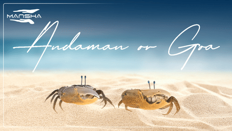 Which is the Best Destination for Your Next Vacation? Andaman vs. Goa.