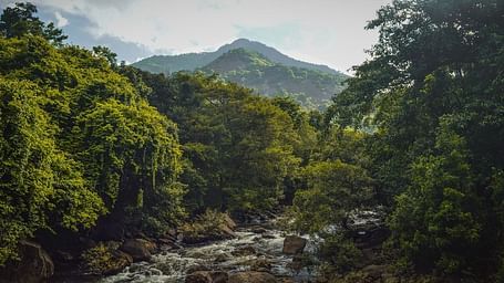 The serene Pookode Lake surrounded by dense forests in Wayanad, Kerala, reflecting the sky and greenery