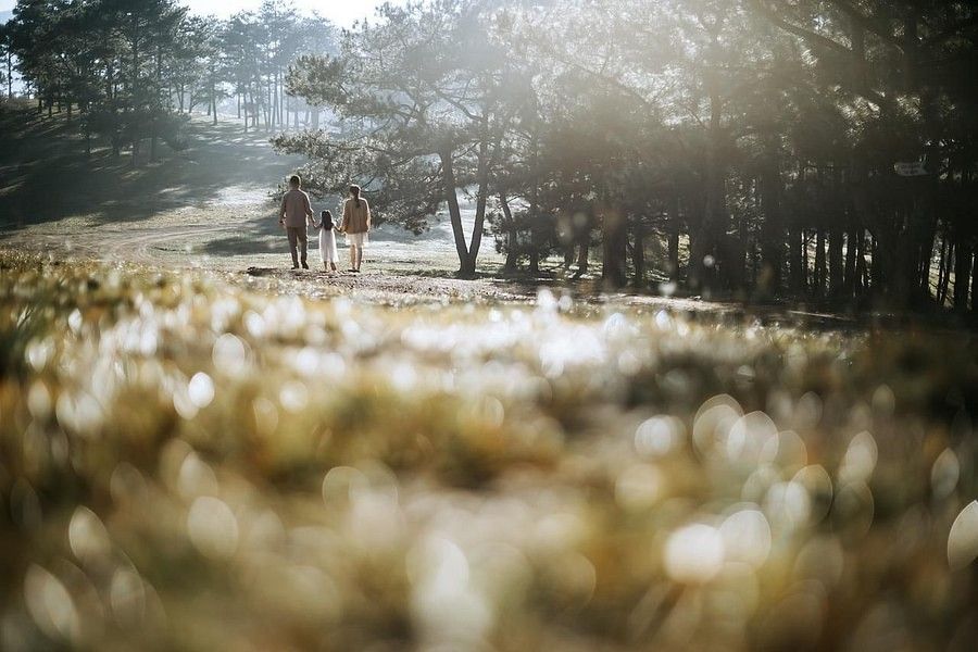 Family on a nature walk