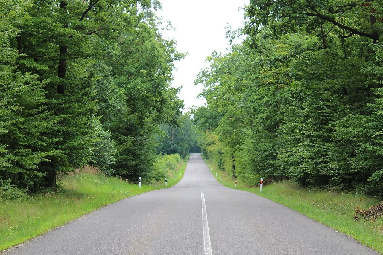 road-5449735 1280