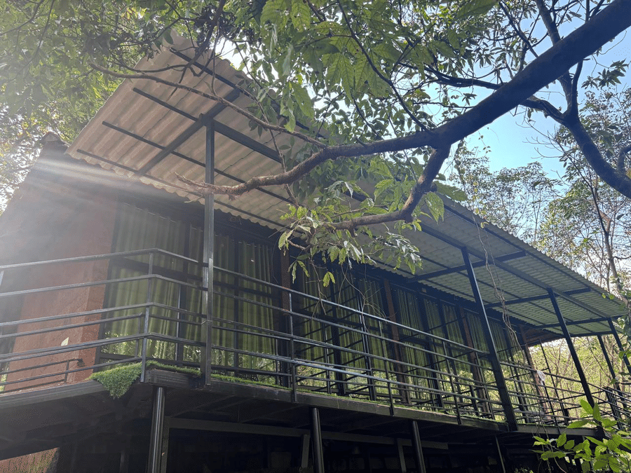Elevated treehouse surrounded by lush greenery at Holistic Eco-Resort, Kannur.