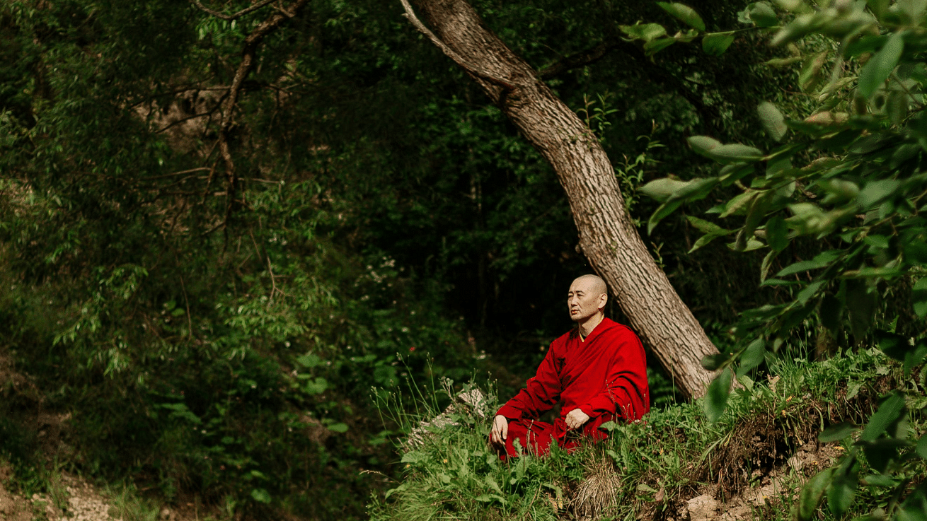 A monk meditating in the forest