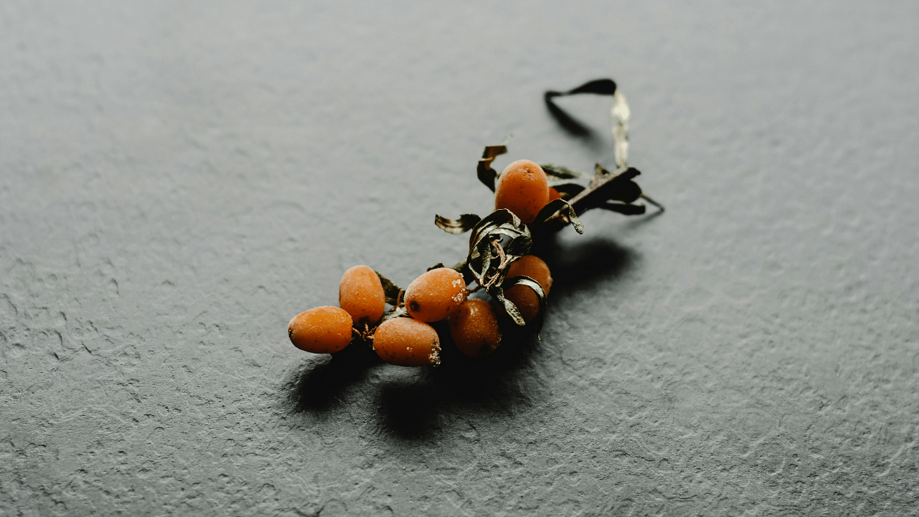 A cluster of small orange berries on a Gray surface.