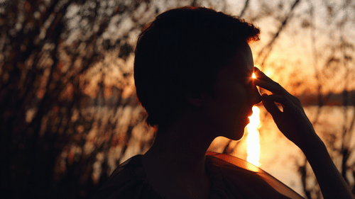 A silhouette of a person pinching the sun between their fingers at sunset, creating the illusion of holding it, against an autumnal backdrop.