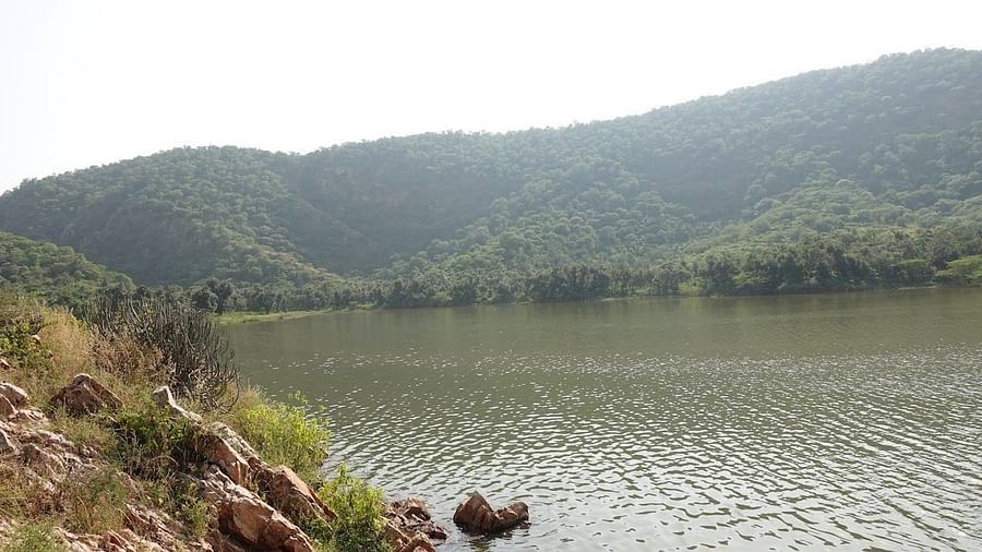 Somsagar lake - Hike Views- Surya Bagh Ajabgarh - Experiences-2