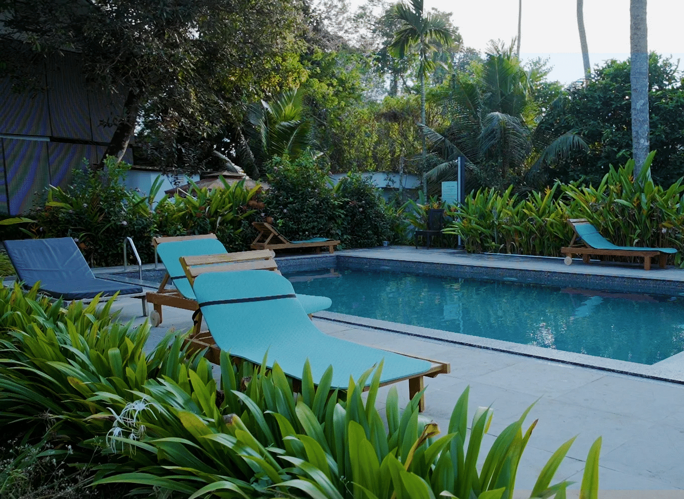 A swimming pool surrounded by lounge chairs and tropical vegetation.