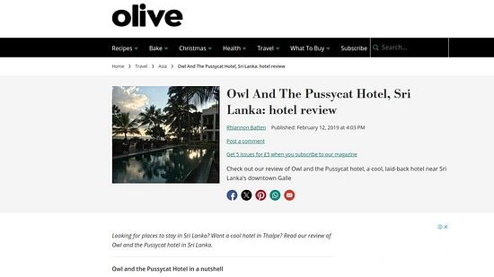 OLive Magazine