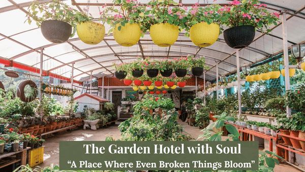 Summer garden
