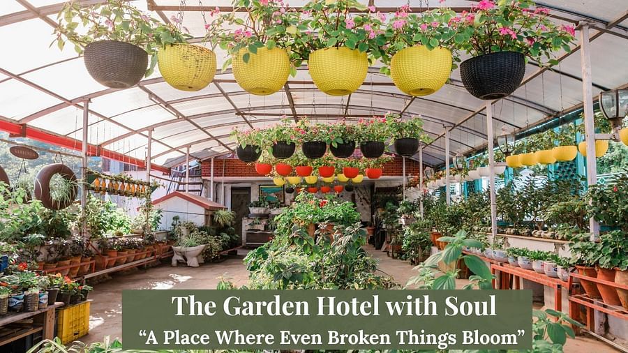 Indoor garden space at Hotel Shiva Continental, Mussoorie featuring rows of green plants, colourful hanging pots, and up cycled planters under a transparent roof.