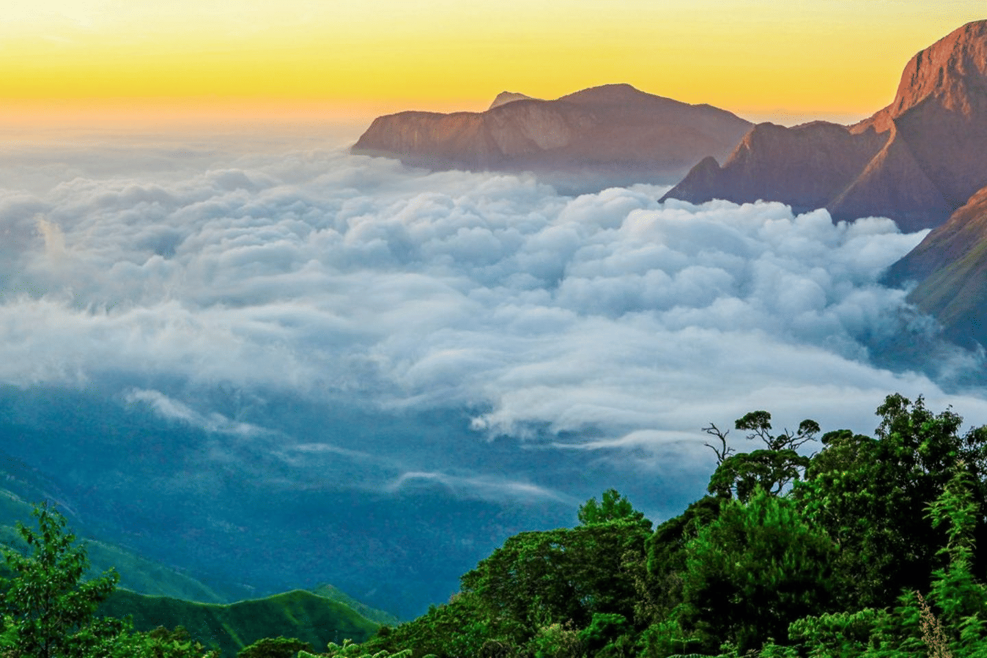 top-station-munnar-tourism-header