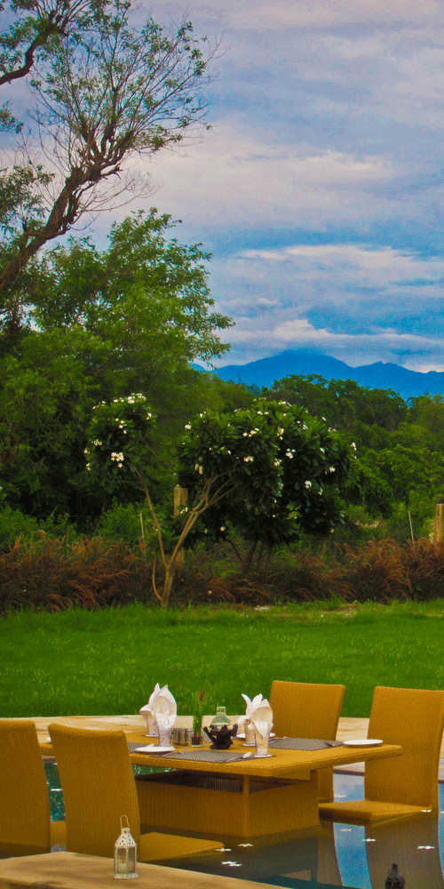 Water Dining in jim corbett - Golden tusk