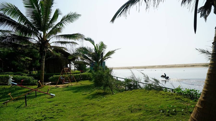 An image of  an open green land with coconut trees overlooking the beach 
